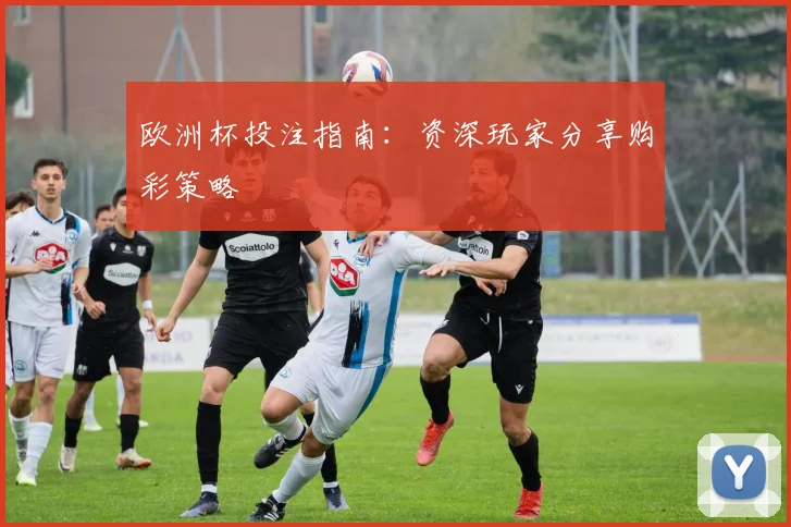 欧洲杯投注指南：资深玩家分享购彩策略