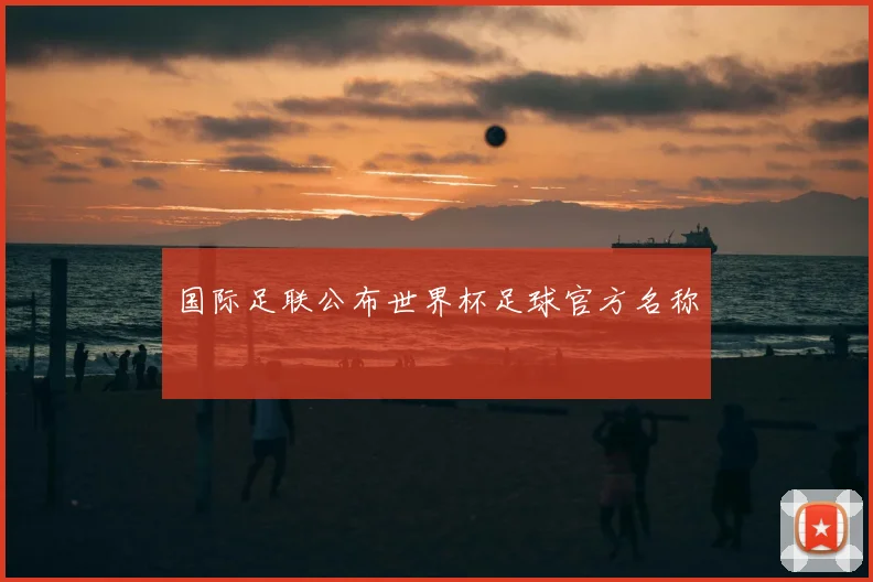 国际足联公布世界杯足球官方名称